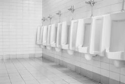 BiOHY WC-Reiniger (10l Kanister) | EXTRA STARK | Profi Bio Konzentrat | Dickflüssiges Reinigungs-Gel | Ideal Gegen Urinstein -Haushaltsreiniger b07d9258 b375 4bf6 8f8a fc2b6d885176