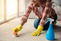 BiOHY Teppichshampoo (6x1l Flasche) | Teppichreiniger Ideal Zur Entfernung Von Hartnäckigen Flecken | SPEZIELL FÜR WASCHSAUGER ENTWICKELT -Haushaltsreiniger f47e3686 9e99 42a1 8202 f7a041901403